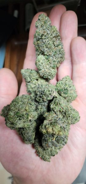 sixty seven sins: Gas Face